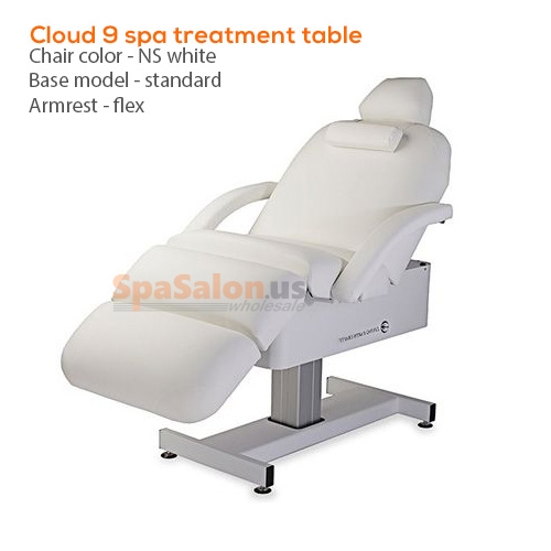 Cloud 9 spa treatment table